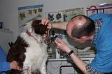AUSCULTATION 265
